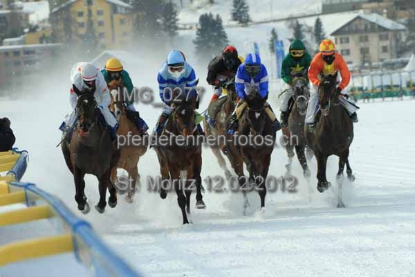 IMG 0277 prot