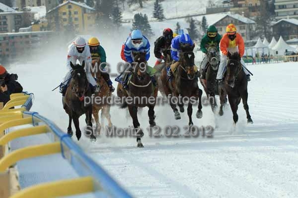 IMG 0279 prot