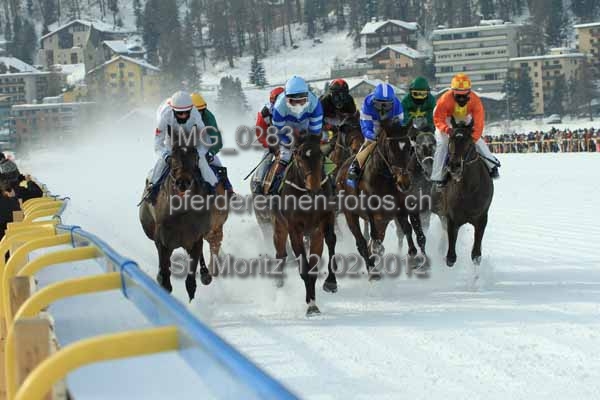 IMG 0283 prot