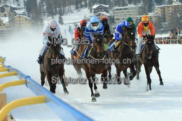IMG 0285 prot