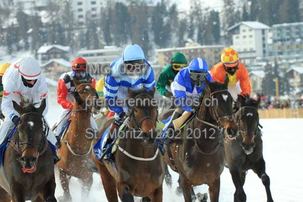 IMG 0287 prot
