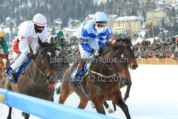 IMG 0291 prot
