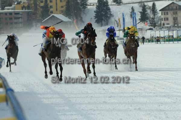 IMG 0304 prot