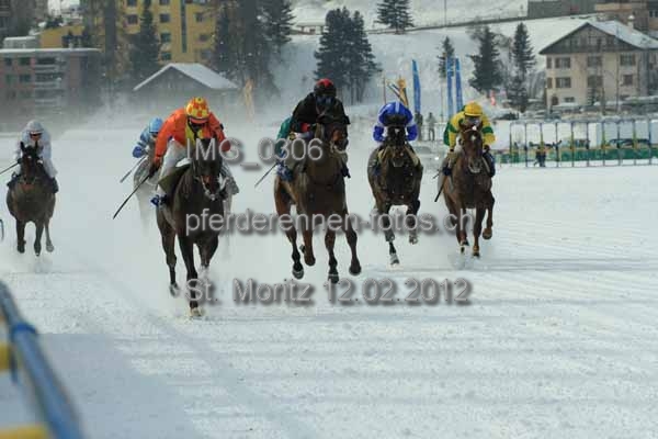 IMG 0306 prot