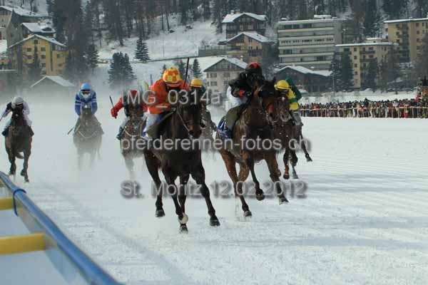 IMG 0314a prot