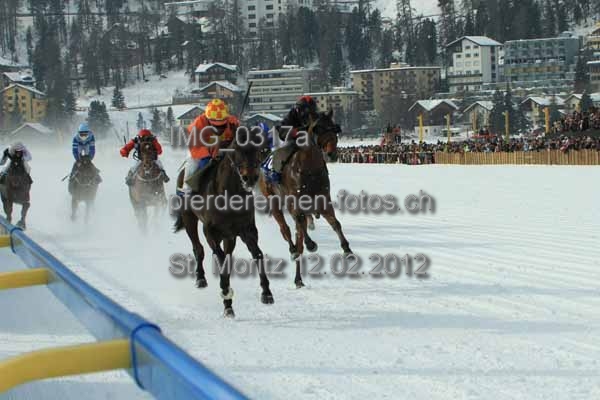 IMG 0317a prot
