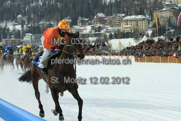 IMG 0322 prot