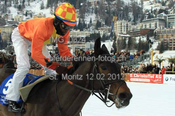 IMG 0324 prot