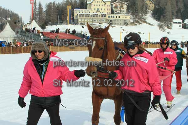 IMG 0384 prot