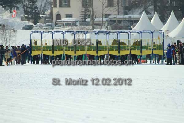 IMG 0395 prot