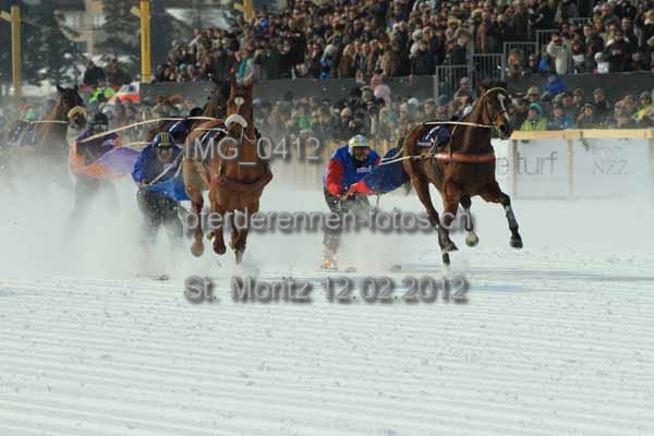 IMG 0412 prot