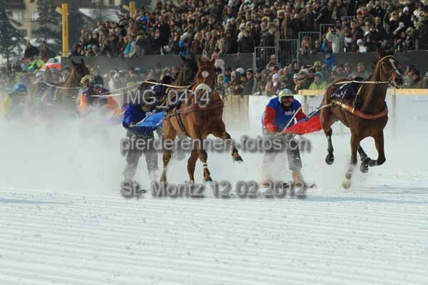 IMG 0414 prot