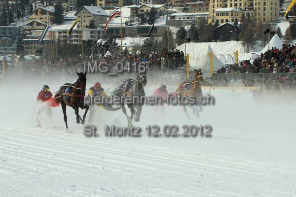 IMG 0416 prot