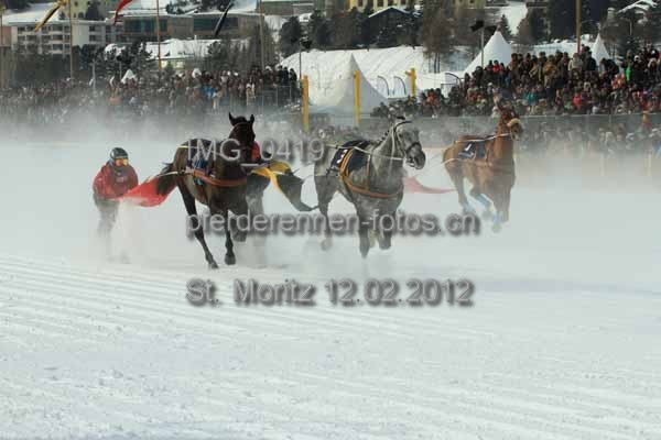 IMG 0419 prot