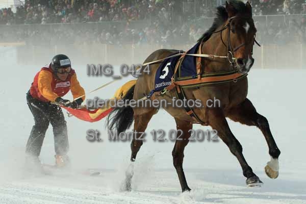 IMG 0424 prot