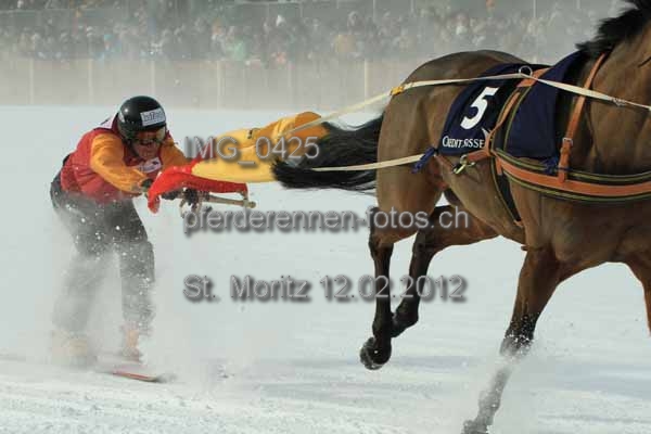 IMG 0425 prot