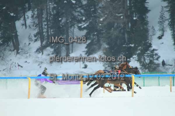 IMG 0428 prot