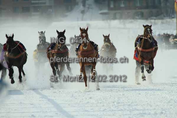 IMG 0431 prot