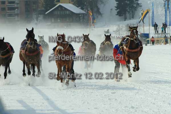 IMG 0433 prot