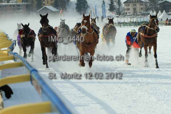 IMG 0440 prot