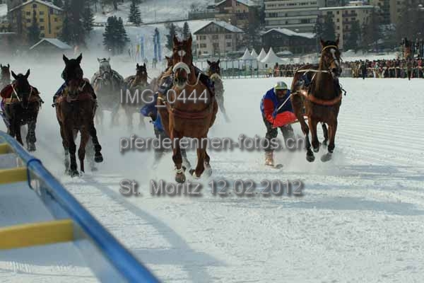 IMG 0444 prot