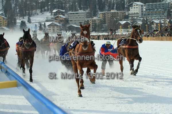 IMG 0448 prot