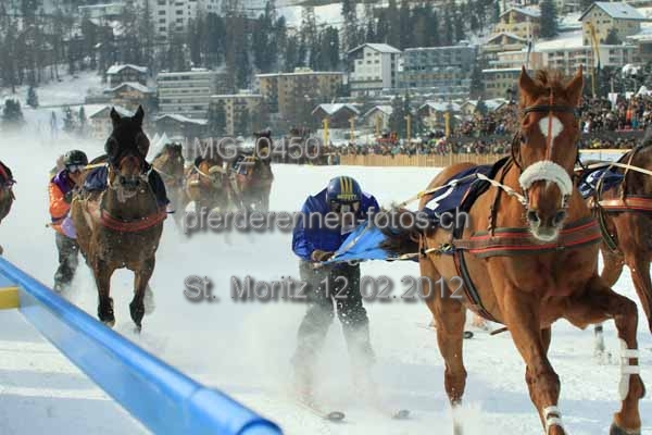 IMG 0450 prot