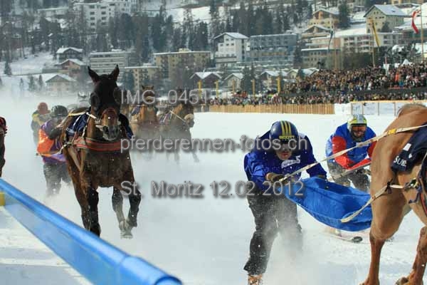 IMG 0451 prot