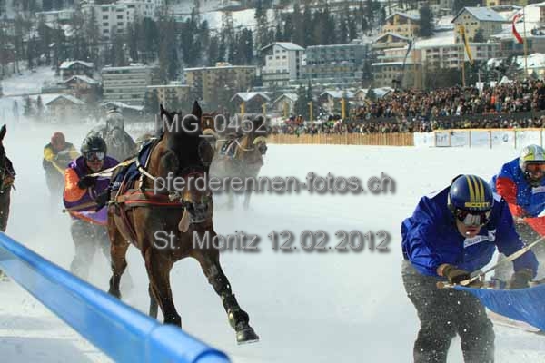 IMG 0452 prot