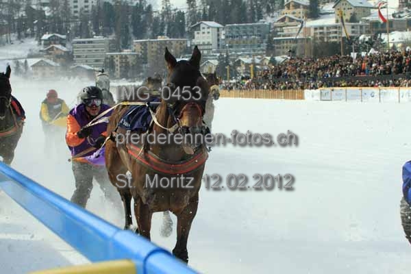 IMG 0453 prot