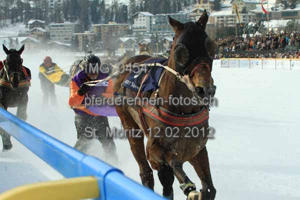 IMG 0454 prot