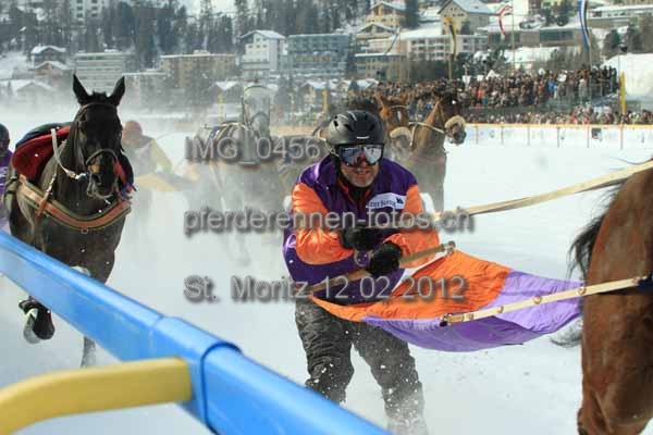 IMG 0456 prot