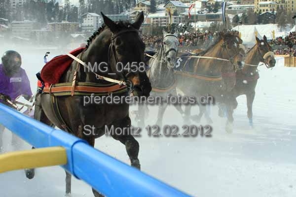 IMG 0458 prot