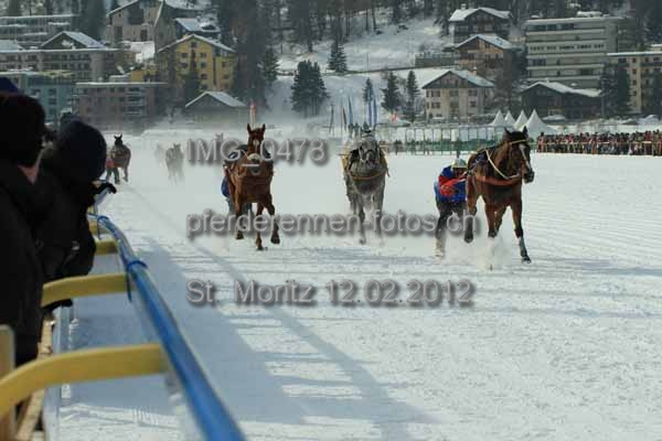IMG 0478 prot