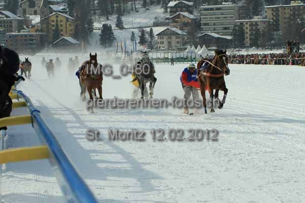 IMG 0480 prot