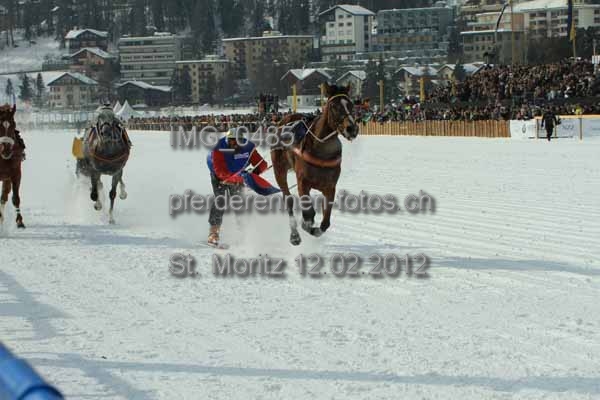 IMG 0485 prot