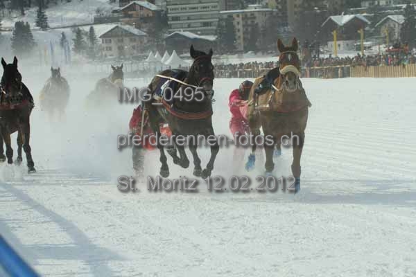 IMG 0495 prot