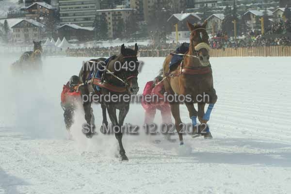 IMG 0497 prot