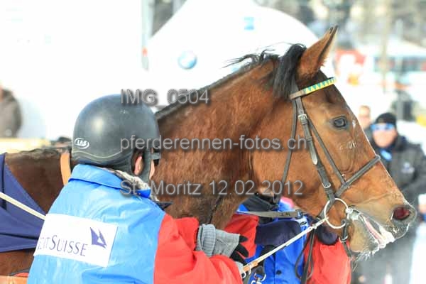 IMG 0504 prot