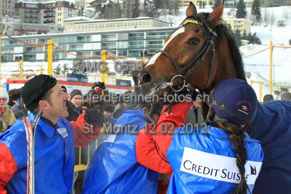 IMG 0538 prot