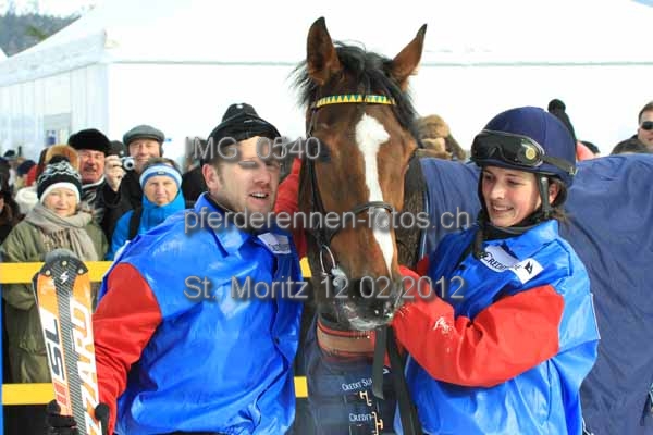 IMG 0540 prot