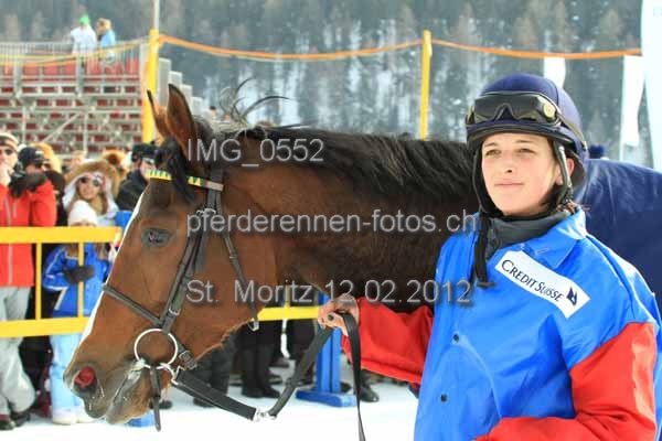 IMG 0552 prot
