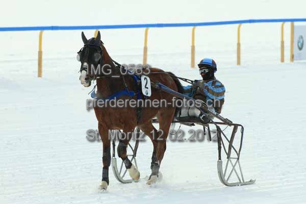 IMG 0563 prot