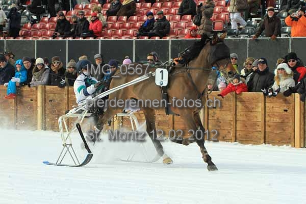 IMG 0567 prot