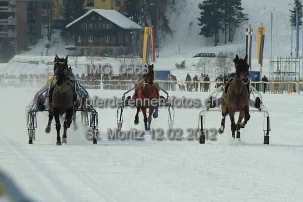 IMG 0568 prot