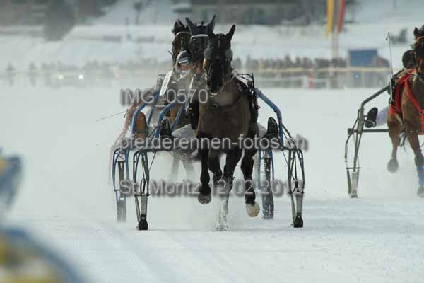 IMG 0570 prot