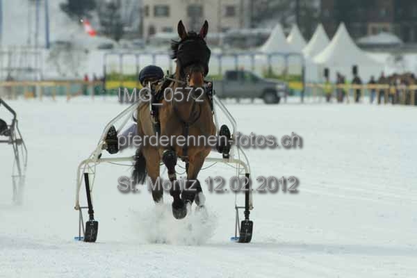 IMG 0572 prot