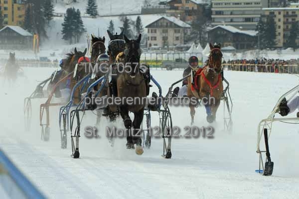 IMG 0575 prot