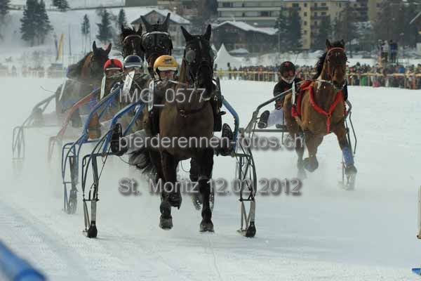 IMG 0577 prot