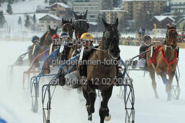 IMG 0581 prot